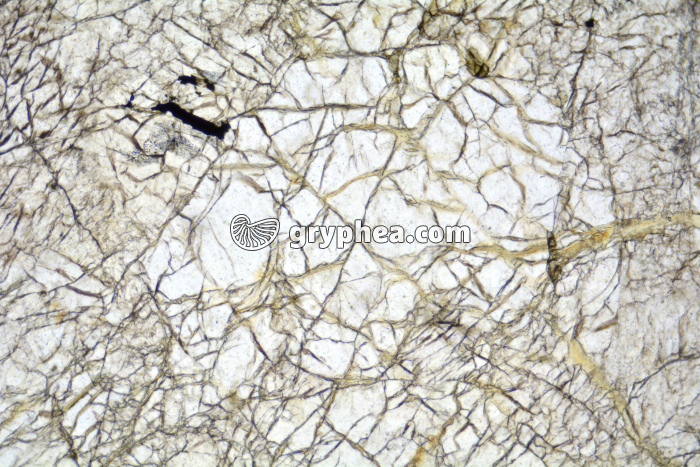 Péridotite serpentinisée LPNA x25 - gryphea.com